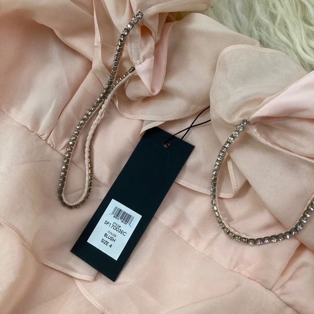 RACHEL ZOE Silk Ruffle & Crystal Accents Mini Dress - Picture 5 of 14